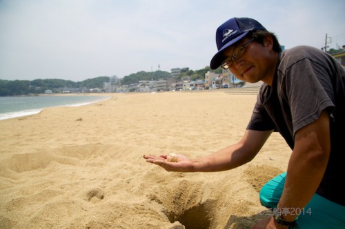 篠島ウミガメビーチランド_2014-06-20 12-12-43