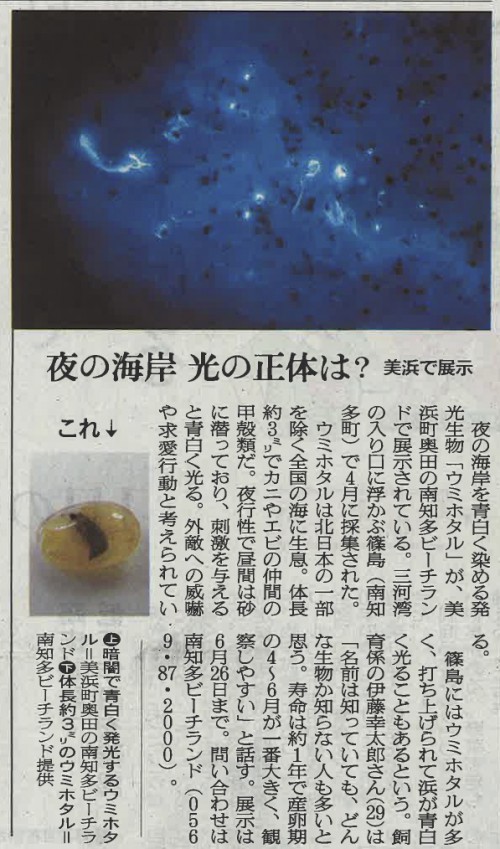 ウミホタル朝日新聞20160517